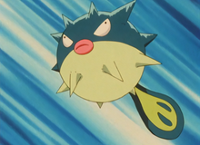 5 Pokémon sở hữu năng lực "ảo nhưng thật", được xây dựng dựa trên các nguyên lý khoa học