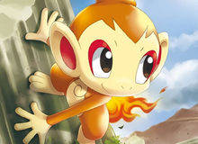 Pokémon khiến cộng đồng tranh cãi vì "tiến hóa mới" của Chimchar, nhưng sự thật lại hoàn toàn khác