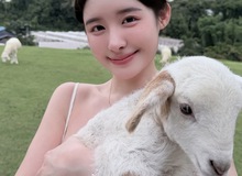 Nữ coser diện váy hở bạo đi nông trại, hớ hênh vùng nhạy cảm tạo làn sóng tranh cãi