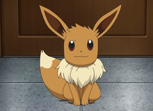 Bí mật hơn 10 năm mới được hé lộ: Vì sao Pokémon Eevee không có thêm dạng tiến hóa mới?
