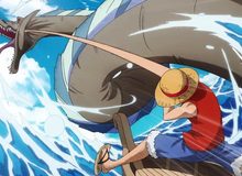 Lý do Luffy đặt tên các chiêu thức trong One Piece theo danh xưng của các loại vũ khí