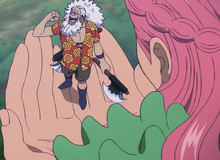 One Piece: Giải mã bí ẩn đằng sau cuộc hôn nhân giữa tộc khổng lồ và con người