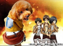 Ngộ nghĩnh cosplay Attack on Titan phong cách... cún cưng