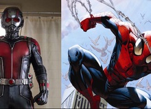 Spider-man và Ant-man giữ vai trò gì trong Captain America: Civil War