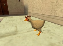 [Hỏi game thủ] Bạn sẽ làm gì khi bị chê là "gà"?