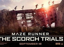 Bật mí những trải nghiệm để đời của dàn sao Maze Runner