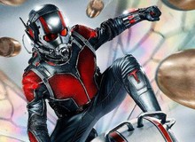 Marvel công bố dự án Ant-Man 2 cùng hàng loạt phim mới