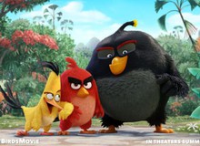 Lộ diện dàn nhân vật trong phim hài về Angry Birds