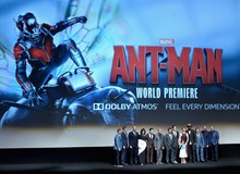 Cận cảnh buổi ra mắt phim siêu anh hùng Ant-Man