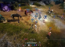 [Clip] Đã mắt với cơ chế PVP 100+ vs 100+ trong Black Desert