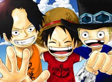 Điều gì làm nên một One Piece đầy tính nhân văn?