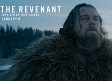 Bảng xếp hạng phim ăn khách - The Revenant của Leonardo Dicaprio bám trụ ở vị trí số 1