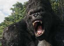 Đoàn làm phim Kong: Skull Island gửi tâm thư cảnh tỉnh giới truyền thông