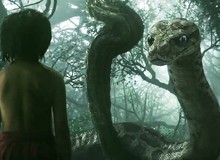 The Jungle Book - Phim mới của đạo diễn Iron Man mà bạn không nên bỏ qua