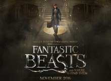 Phim về thế giới phù thủy Harry Potter - Fantastic Beast and Where to Find Them tiết lộ trailer mới