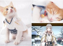 Yêu động vật, cô gái Nhật Bản cosplay cho chú mèo vàng cực dễ thương
