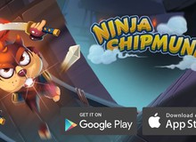Ninja Chipmunk - Game Việt và khát vọng nổi cồn trên đất Mỹ