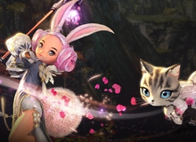 Game thủ Blade and Soul dọa kiện NPH vì một chú mèo