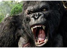 Phim King Kong quay tại Việt Nam sẽ có chú khỉ to lớn nhất từ trước đến nay