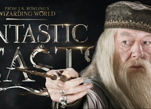 Giới tính thật của Dumbledore sẽ được tiết lộ trong phim Fantastic Beasts and Where to Find Them