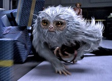 Những sinh vật kì bí trong phim mới về thế giới phù thủy Harry Potter