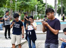 Săn  Pokemon  bất chấp hiểm nguy