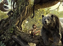 The Jungle Book - Cậu Bé Rừng Xanh tung trailer mới cực mãn nhãn
