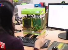 Phong trào độ máy tính tại Việt Nam được lên truyền hình quốc gia