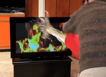 "Đau ruột" trước cảnh cụ già dội nước vào TV để dập lửa