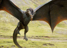 Chuyên gia khí động học giải thích vì sao rồng trong Game of Thrones hoàn toàn có thể bay được