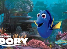 Phim hoạt hình Finding Dory tiếp tục thống trị bảng xếp hạng phim ăn khách