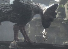 Sau 8 năm vẫn có rất nhiều người chờ đợi The Last Guardian, đó là vì game trông quá hấp dẫn