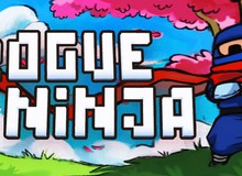 Rogue Ninja - Game phiêu lưu 3D pixel lấy đề tài Ninja cực vui nhộn