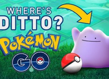 Lý do nào mà Pokemon Ditto vẫn chưa xuất hiện trong Pokemon Go?