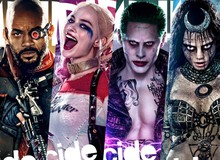 Tất tần tật về các nhân vật trong Suicide Squad - Phim siêu anh hùng cực dị của DC