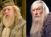 Hài hước Fan Harry Potter nhầm "thầy Dumbledore" với phù thủy "Gandalf"