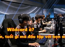 LMHT: Tuyển thủ Wildcard hé lộ chuyện bị các đội khu vực lớn coi thường, không tập cùng và kết quả...