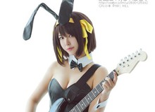 Cosplay nữ sinh Suzumiya Haruhi "nhìn là muốn yêu" theo phong cách Bunny Thỏ Ngọc