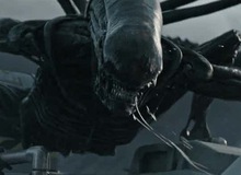 14 hiện thân ghê rợn của "Alien" ghê rợn đã xuất hiện trong thương hiệu phim