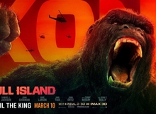 Lộ bằng chứng cho thấy King Kong và Godzilla chuẩn bị đụng độ nhau trên màn ảnh