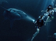 “47 Meters Down”: Cá mập và tình chị em "nắm nem ba đồng"