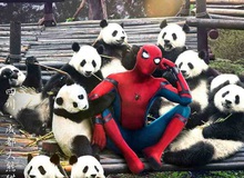 Hài hước với loạt Poster phim Spider-man: Homecoming tại Trung Quốc