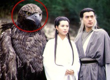 Câu hỏi khiến hàng trăm game thủ tranh cãi: Chim của Dương Quá đến từ đâu?