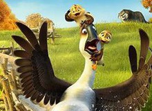 Duck Duck Goose - Tựa phim hoạt hình hài hước về những chú vịt trời vui nhộn