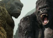 Phim Kong: Skull Island khác biệt như thế nào so với phiên bản King Kong trước đây?