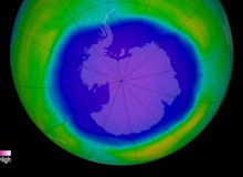 Tầng ozon đang dần hồi phục, nhưng hoá chất này có thể làm chậm quá trình thêm 30 năm