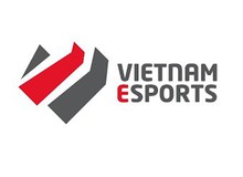 Tin đồn Vietnam Esports ngừng hoạt động: Đại diện cty khẳng định là tin vịt và không quan tâm