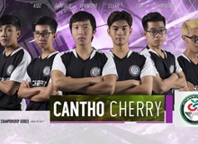 LMHT: Sau khi giải nghệ, người cũ của FFQ chính thức trở thành tân HLV của Cantho Cherry