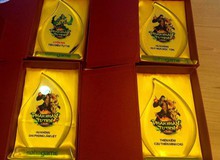 Chơi game này sướng thật, đã được vinh danh lại còn nhận cả Cúp, in tên hẳn hoi