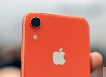 iPhone XR bán chạy tới nỗi không còn hàng giao ngay cho khách đặt trước